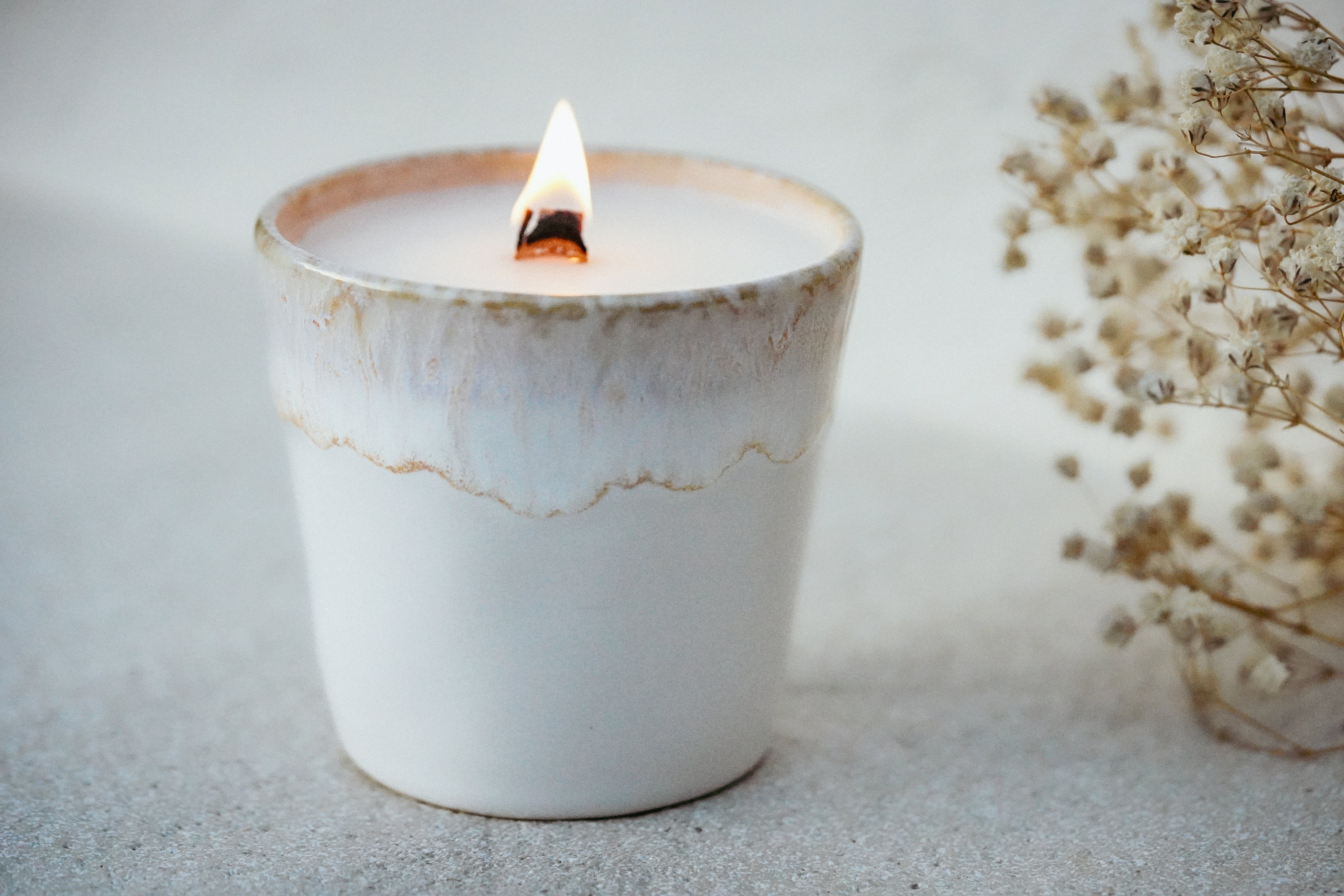 White | Oat Milk + Honey | Nova